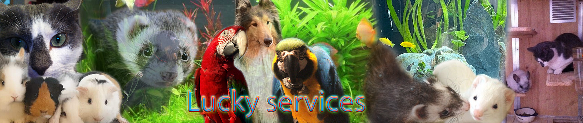 Lucky Services Logo